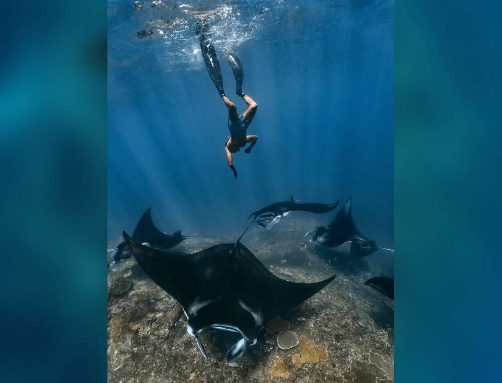 Manta Bay Snorkeling (90℅ Chance to See Manta Ray)