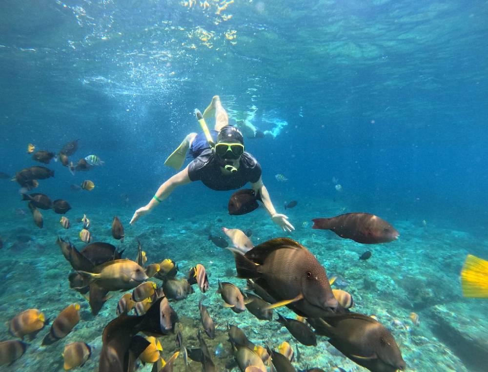 Blue Lagoon Snorkeling