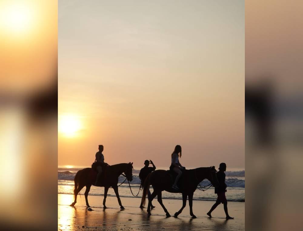 Horse Riding by The Beach