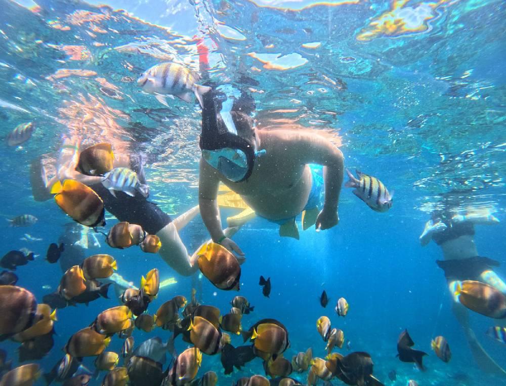Blue Lagoon Snorkeling