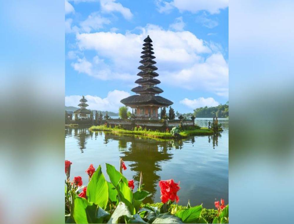 North Bali Tour and Swim with Dolphin